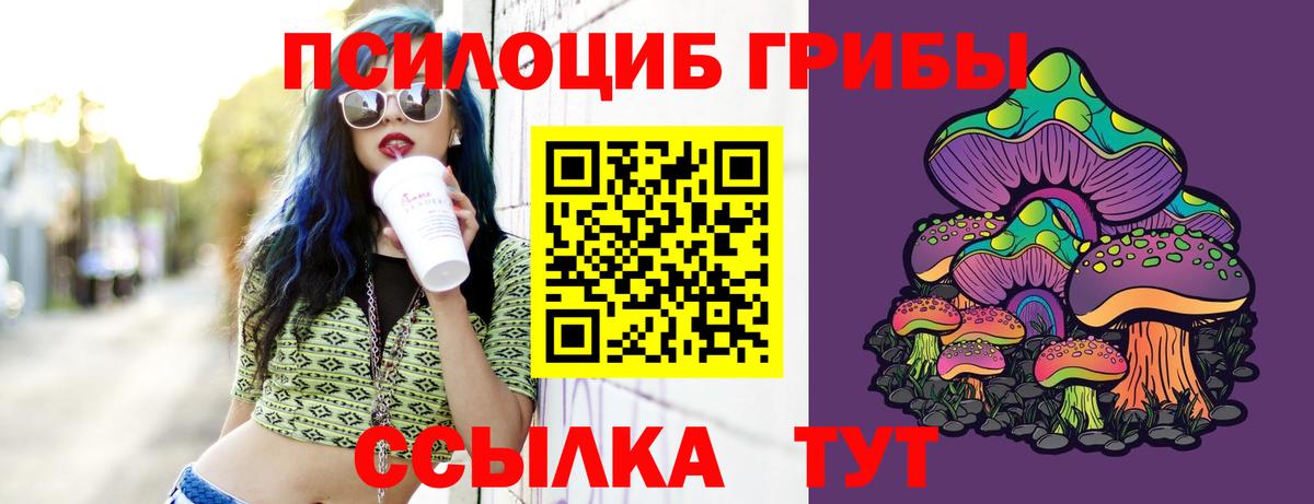 Галлюциногенные грибы мухоморы Владикавказ