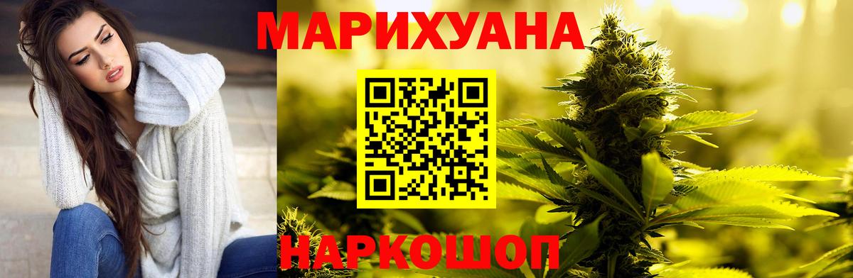 Каннабис сатива Владикавказ